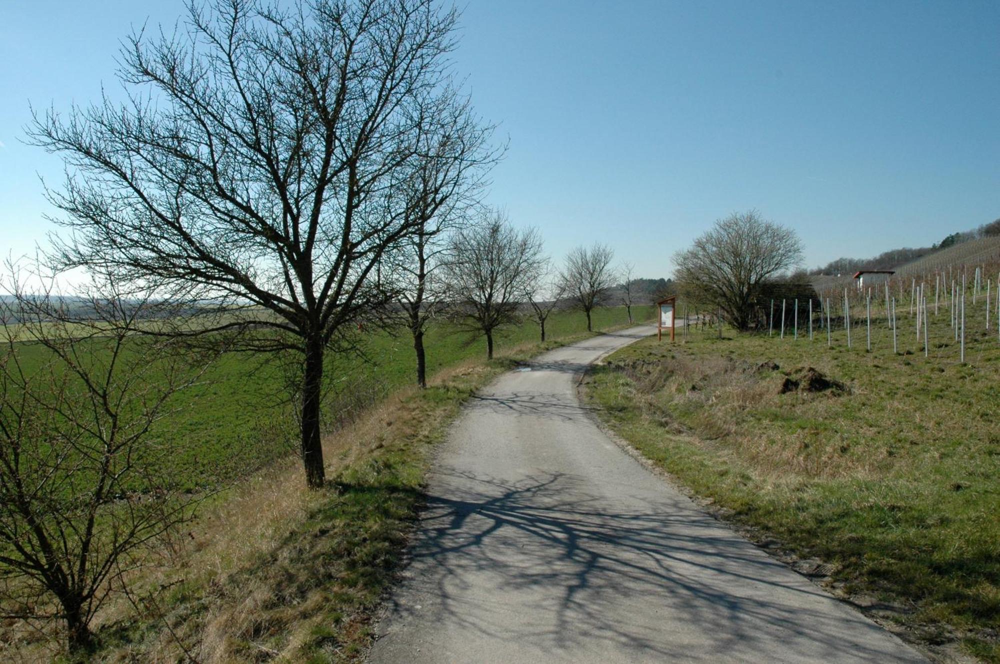 Landgasthof Zum Schwarzen Adler Markt Nordheim Zewnętrze zdjęcie