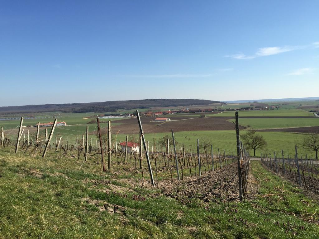 Landgasthof Zum Schwarzen Adler Markt Nordheim Zewnętrze zdjęcie